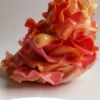 Foto di Rosa Augusta Luise, una scultura in argilla polimerica della serie Sussurri della natura