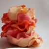 Foto di Rosa Augusta Luise, una scultura in argilla polimerica della serie Sussurri della natura