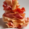 Foto di Rosa Augusta Luise, una scultura in argilla polimerica della serie Sussurri della natura